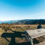 places-you-have-to-visit-in-the-north-island-of-new-zealand-mt-kaukau-view