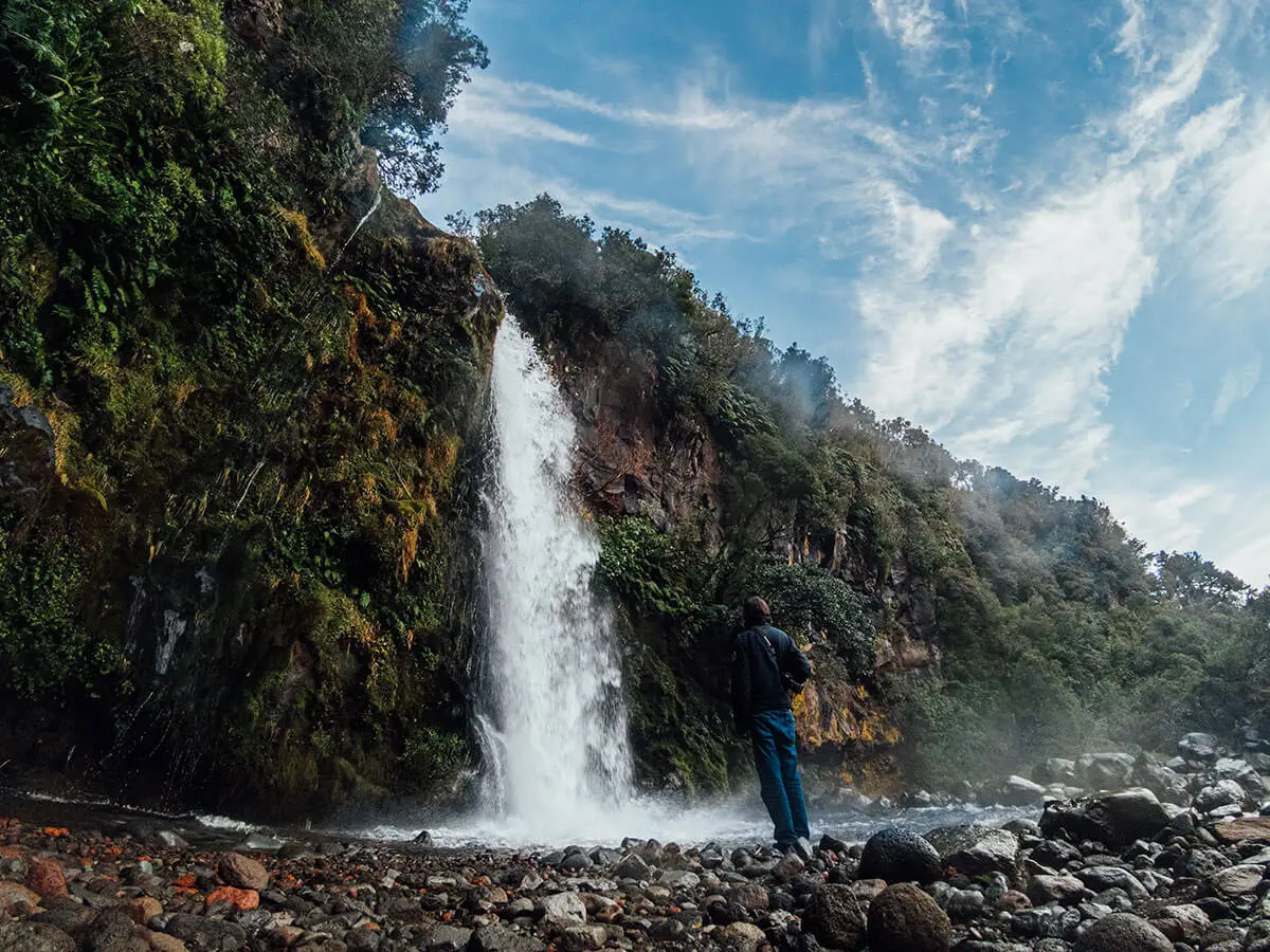 dawson-falls-luoghi-da-visitare-nell-isola-del-nord-nuova-zelanda