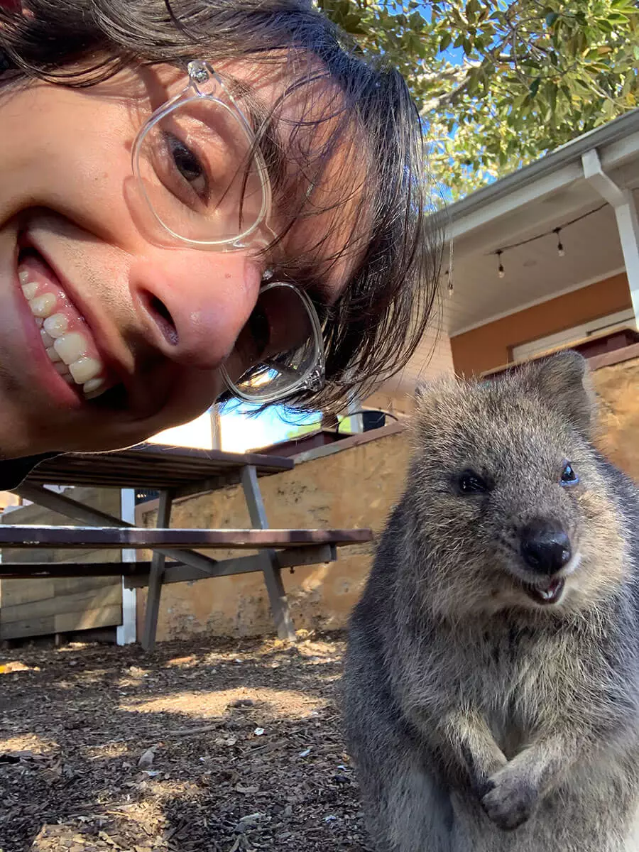best-things-to-do-in-perth-quokkas-selfie-rottnest-island