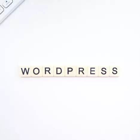 the best wordpress plugin you need to have